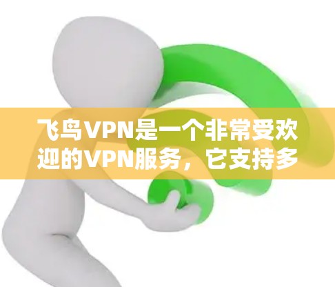 飞鸟VPN是一个非常受欢迎的VPN服务，它支持多种协议，包括 aes-256、sac-128、es-128、es-248以及sac-248。以下是一个详细的使用指南，帮助你顺利使用飞鸟VPN