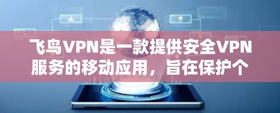 飞鸟VPN是一款提供安全VPN服务的移动应用，旨在保护个人信息安全。以下是其使用体验的详细信息