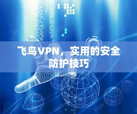 飞鸟VPN，实用的安全防护技巧