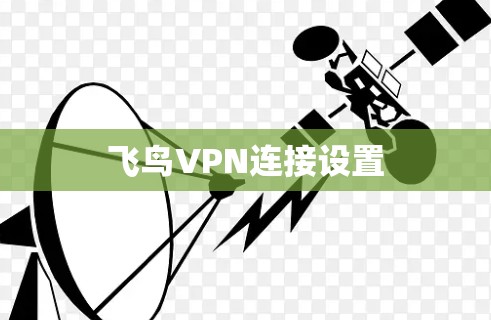 飞鸟VPN连接设置