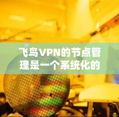 飞鸟VPN的节点管理是一个系统化的过程，涉及多个步骤和细节，确保设备和防火墙的正确配置和安全。以下是对飞鸟VPN节点管理的详细步骤和注意事项