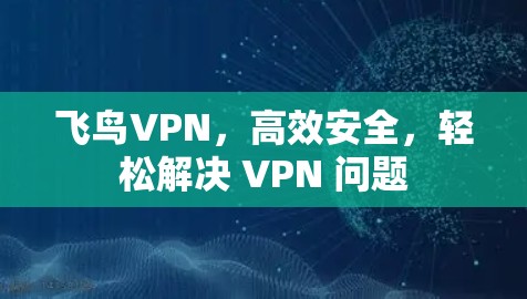 飞鸟VPN，高效安全，轻松解决 VPN 问题