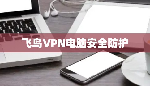 飞鸟VPN电脑安全防护