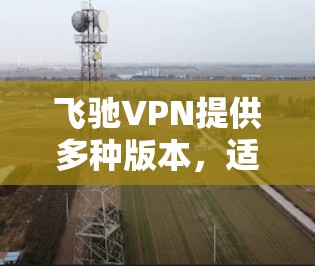 飞驰VPN提供多种版本，适合不同需求的用户。以下是下载飞驰VPN的步骤和链接建议