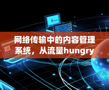 网络传输中的内容管理系统，从流量hungry到智慧内容管理