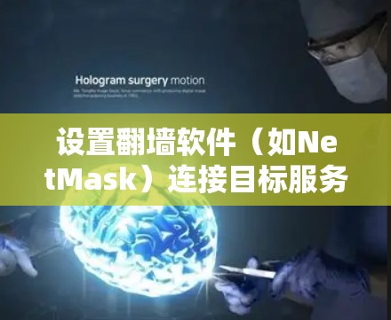 设置翻墙软件（如NetMask）连接目标服务器的步骤如下