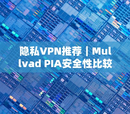 隐私VPN推荐｜Mullvad PIA安全性比较