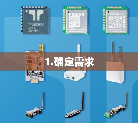 1.确定需求