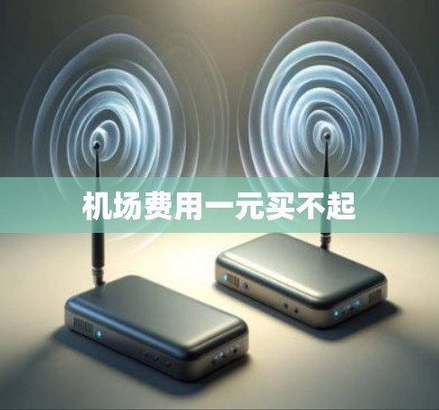 机场费用一元买不起
