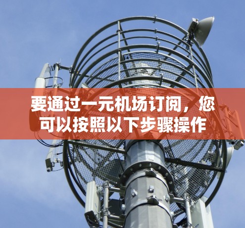 要通过一元机场订阅，您可以按照以下步骤操作