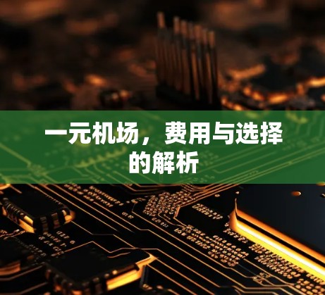 一元机场，费用与选择的解析
