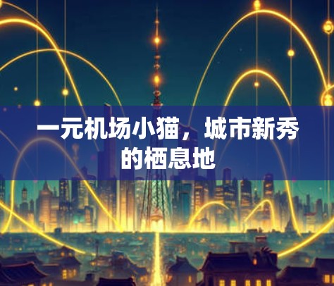 一元机场小猫,城市新秀的栖息地 一元机场小猫,城市新秀的栖息地