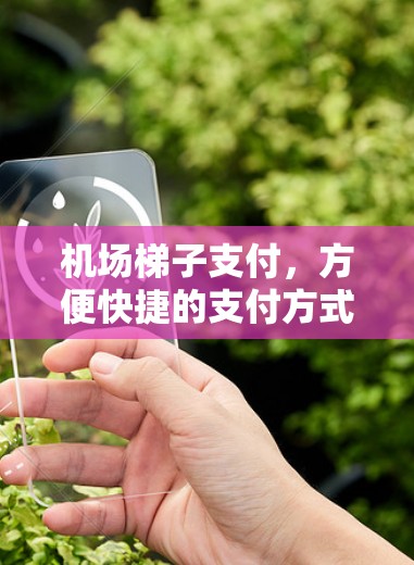 机场梯子支付，方便快捷的支付方式