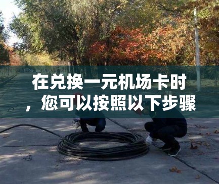 在兑换一元机场卡时,您可以按照以下步骤进行操作 在兑换一元机场卡时,您可以按照以下步骤进行操作