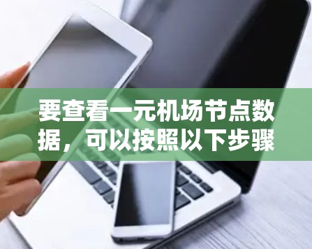 要查看一元机场节点数据，可以按照以下步骤进行