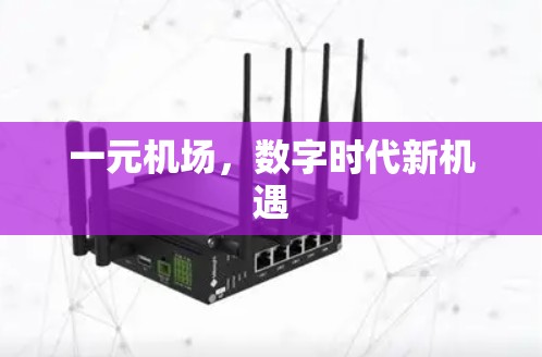 一元机场，数字时代新机遇