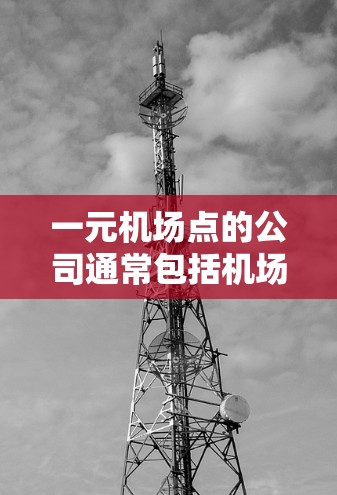 一元机场点的公司通常包括机场票务、行李托运、行李还货、机场接送服务等，这些公司利用其地理位置的便利性，提供快速、准确的航班信息和高效的运营。以下是对这些服务和公司的详细分析