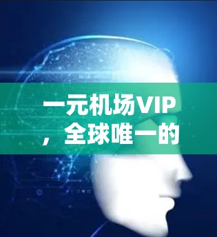 一元机场VIP，全球唯一的地方，让每位乘客价值一元