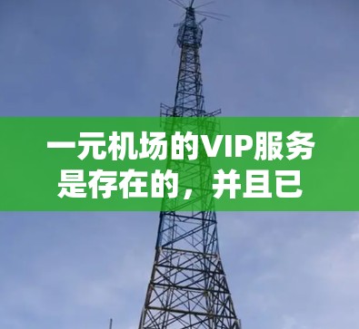 一元机场的VIP服务是存在的，并且已经被很好地实施。以下是对问题的详细解答