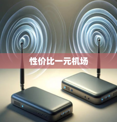 性价比一元机场
